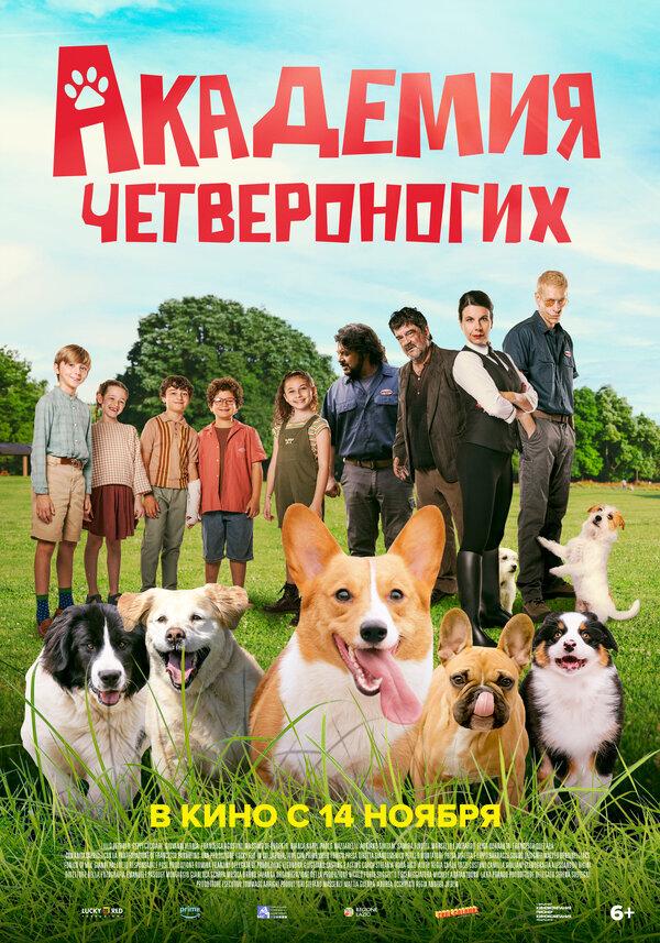 Академия четвероногих (6+)